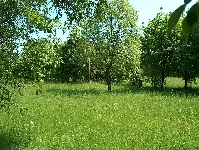 HPIM3755.JPG