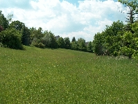 HPIM3760.JPG