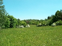 HPIM3761.JPG