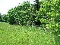 HPIM3762.JPG
