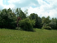 HPIM3763.JPG