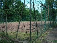 HPIM3771.JPG